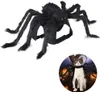 Haustierkostüm Spinne Halloween Haustier Cosplay Hunde Produktbild-Vorschau 2