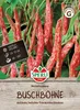 SPERLI Buschbohnensamen Borlotto rosso Phaseolus vulgaris Produktbild-Vorschau 1
