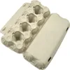 An open egg carton on a white background. Produktbild-Vorschau