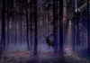 Vlies Fototapete - Mystical Forest - Second Variant 250x175 Produktbild-Vorschau 5