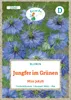 Jungfer im Grünen Miss Jekyll | Jungfer im Grünen Samen von Produktbild-Vorschau 3