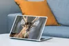MuchoWow® Laptop Aufkleber Sticker Cover Hirschgeweih Braun Produktbild-Vorschau 4