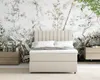 Boxspringbett 120x200 EVEREST, mit Topper, mit Bettkästen,  Produktbild-Vorschau 3