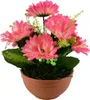 Gerberas rose 7 fleurs dans un bol en terre cuite Ø22/ 24 Voir les images du produit 3