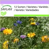 SAFLAX - Jedlé kvety - Mix - 1000 Semená Náhľad obrázku produktu 4
