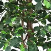 Schefflera umělá rostlina umělá rostlina umělá rostlina Náhled obrázku produktu 2