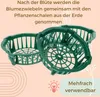 Pflanzkörbe für Blumenzwiebeln Pflanzkorb Blumenzwiebeln Produktbild-Vorschau 5