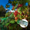 Rete per uccelli - BIRD NET 10g/m2 - 2x10m Anteprima dell’immagine prodotto 8