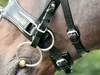 BUSSE Kappzaum Fit Pro Leder Braun (Creme) VB/ WB Produktbild-Vorschau 6