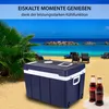 Gino Gelati Elektrische Kühlbox 50L 12V 220V für Bierkasten Produktbild-Vorschau 3