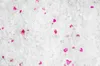 CALITTI Cristalli di Lavanda - Lettiera in silicone per Anteprima dell’immagine prodotto 5