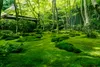 Muralo XXL Selbstklebende FOTOTAPETE Japanischer GARTEN Produktbild-Vorschau 2