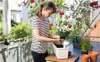 GARDENA city gardening Balkonschere Produktbild-Vorschau 17