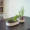 Plastia Urbalive Set Keimsprosskit Microgreens und Produktbild-Vorschau 28