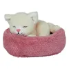 A sleeping plush kitten in a pink basket. Produktbild-Vorschau