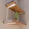 Two wooden shelves mounted on a wall with white brackets. A small potted plant is on the lower shelf. Produktbild-Vorschau