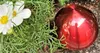A red decorative sphere sits next to white flowers and green foliage. Produktbild-Vorschau