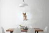 MuchoWow® Poster Katze - Rot - Kätzchen - Mädchen - Kinder Produktbild-Vorschau 3
