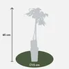 Wisteria floribunda Alba - bílý modrý déšť Náhled obrázku produktu 9