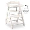 Hauck Beta+ Traditional high chair Padded seat Black Voir les images du produit 11