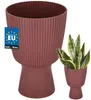 KOTARBAU® Kvetináč, priemer 18 cm, kvetináč na orchideje, Náhľad obrázku produktu 1