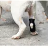 INF Supporto per zampa di cane - Supporto corto per cani L Anteprima dell’immagine prodotto 7