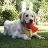 Happypet Hundespielzeug stark BONE sicher langlebig fetch Produktbild-Vorschau 6