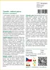 SAFLAX - Trpaslík - datlová palma - Phoenix roebelenii - 25 Náhled obrázku produktu 3