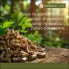 Gardenflare 10026, Wolnostojący kominek, zamknięty, na Podgląd zdjęcia produktu 4