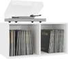 vidaXL Boîte de rangement pour disques vinyles blanc Voir les images du produit 16