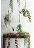 Kunstpflanze Mica Eucalyptus hängend Kunststoff H 5 cm grün Produktbild-Vorschau 5
