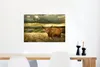 MuchoWow® Poster Schottische Hochlandrind - Licht - Natur Produktbild-Vorschau 5