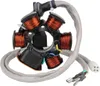 Oryginalny alternator do modeli Piaggio Sfera RST, TPH Podgląd zdjęcia produktu 2