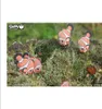 EUGY - 3D Bastelset Clownfisch Produktbild-Vorschau 15