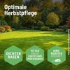 Substral Herbst Rasendünger 6,25 kg Produktbild-Vorschau 5