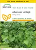 SAFLAX Insieme di coltivazione - Albero dei ventagli - 4 Anteprima dell’immagine prodotto 1