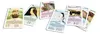 ASS Quartett Wilde Tiere, 1 Set Produktbild-Vorschau 4