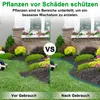 A split image showing a garden bed before and after using a plastic lawn edging. Voir les images du produit