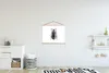 MuchoWow® Textilposter Käfer - Tiere - Vintage 60x45 cm mit Produktbild-Vorschau 2