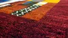 Teppich TRIVO | handgeknüpft | Farbe: rot; Größe: 250 x 350 Produktbild-Vorschau 2
