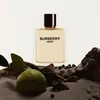 Burberry Hero woda toaletowa dla mężczyzn 100 ml Podgląd zdjęcia produktu 12