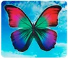Wenko, Multi-Platte Butterfly by Day für Glaskeramik Produktbild-Vorschau 2