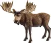 schleich WILD LIFE 14781, 3 rok / roky, Forest, Wild Náhľad obrázku produktu 2