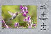 MuchoWow® Schreibtischunterlage Kolibri - Vogel - Natur Produktbild-Vorschau 2