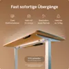Desktronic HomeOne Elektrisch höhenverstellbarer Produktbild-Vorschau 3