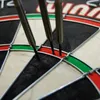 Winmau Dartscheibe "PRO SFB" schwarz Produktbild-Vorschau 3