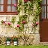 Mini banc à fleurs, RD26425 M, 40cm Voir les images du produit 5