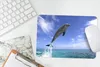 MuchoWow® Mauspad Mousepad Delfin - Meer - Himmel 27x18 cm Produktbild-Vorschau 5