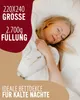 EVAN BROWNS® Feder Bettdecke - Ganzjahresdecke - Produktbild-Vorschau 5