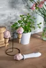 Drei Kugeln rosa Eis, zwei in Waffeln auf einem Metallständer und eine auf dem Beheizten Eisportioni Anteprima dell’immagine prodotto